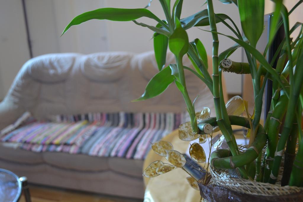 Airport Apartments Beograd Ngoại thất bức ảnh